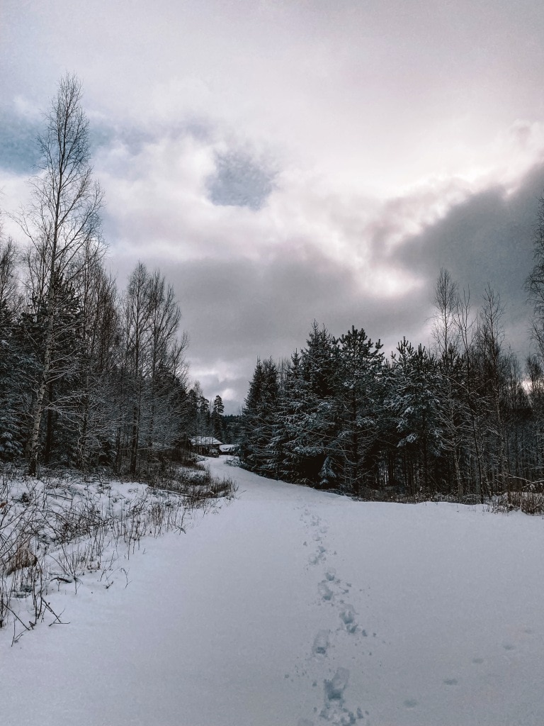 A small house and cottages in the winter that is heavy on the snow in Sweden