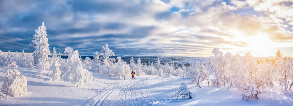 Panoramic view of young man cross-country skiing on a track in beautiful winter wonderland scenery in Scandinavia with scenic evening light at sunset in winter, northern Europe