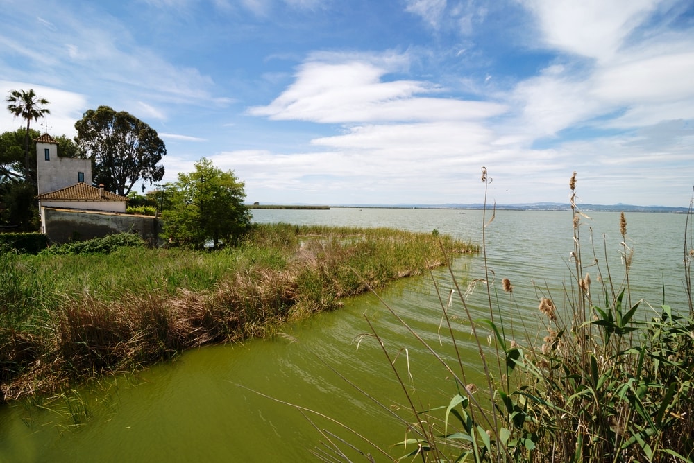 La Albufera natural Park landscape, a green coloured canal runs to the lake with a farmhouse on the left hand side