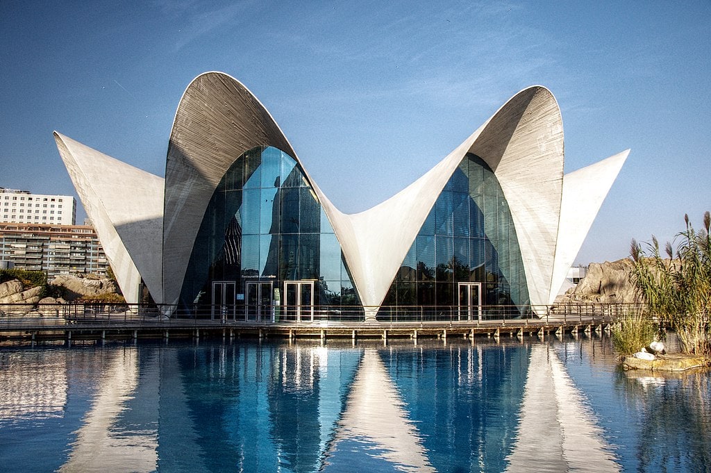 The Best Things To Do in Valencia