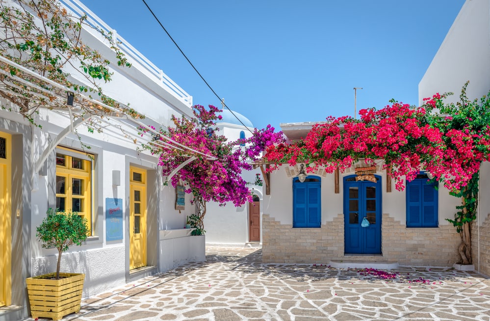  Traditional whitewashed houses in cobblestone alley with bougainvillea trees.