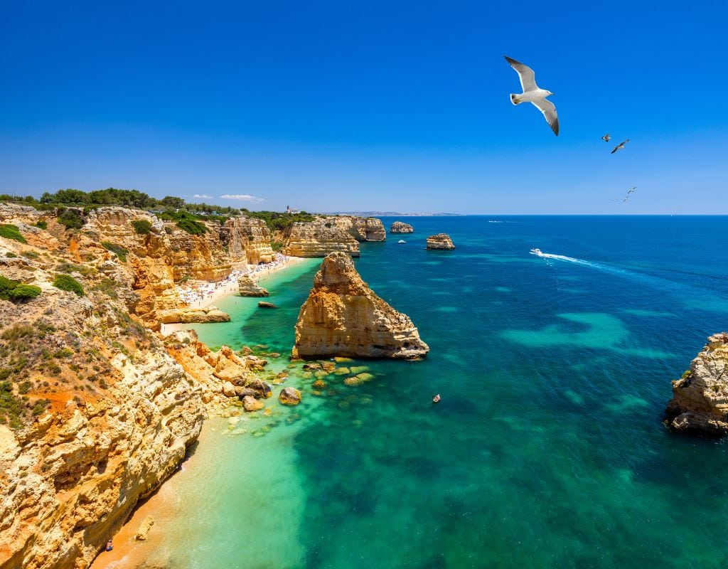 A bird soaring over one of the best beaches in Portugal.