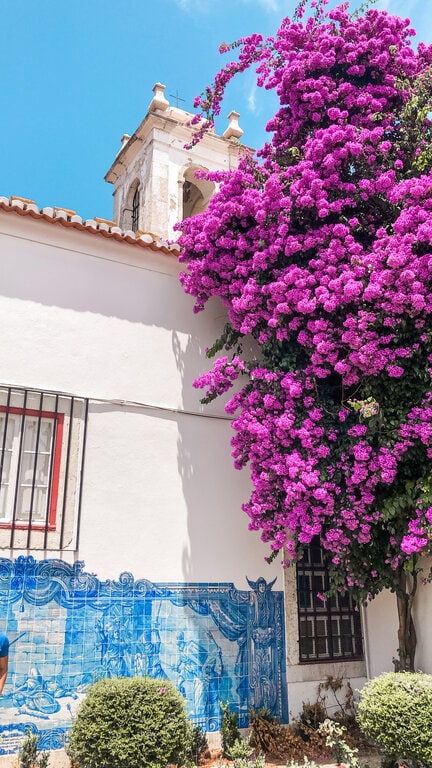 A tree with purple flowers in front of a building.