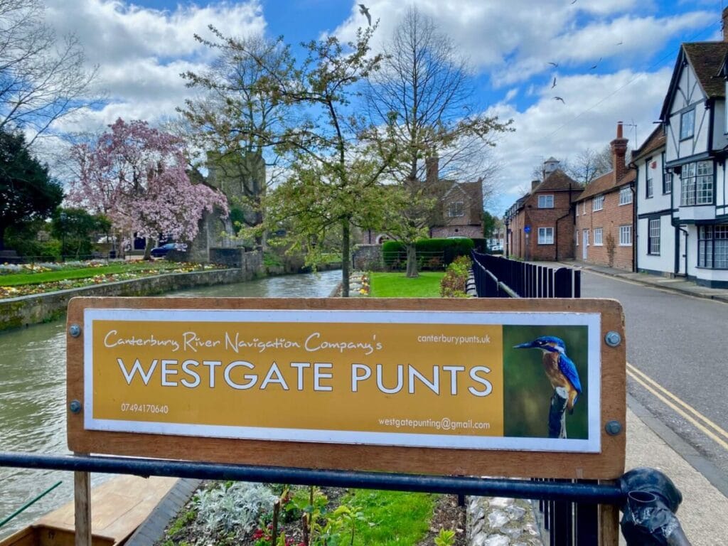 A sign for "westgate punts" by the Canterbury Boat Trips company beside a scenic river with blooming trees and traditional buildings in the background.