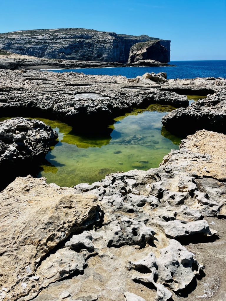 Rocky coastal landscape with tide pools against a backdrop of cliffs and a clear blue sky.