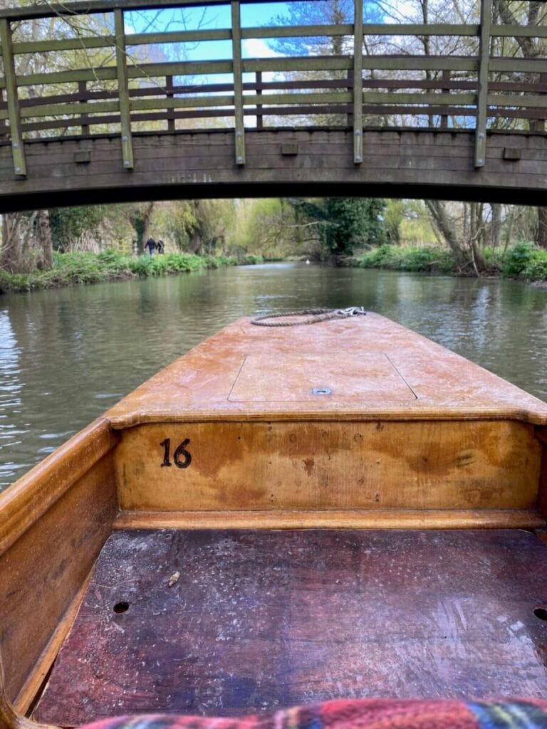 A view from the stern of a Canterbury boat number 16 moving under a bridge on a river, with people and dogs visible in the background.