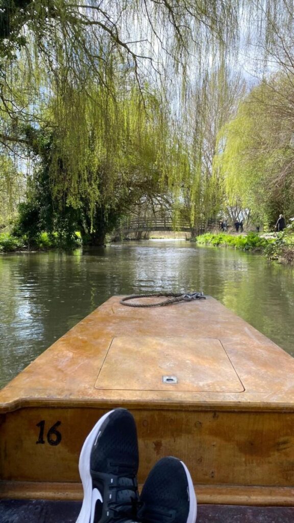 Person enjoying a peaceful Canterbury boat trip on a serene river shaded by weeping willows.