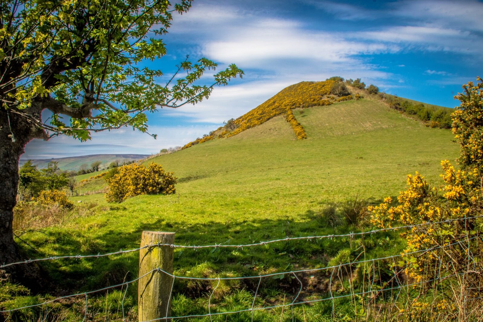 Tiveragh the Fairy Hill
