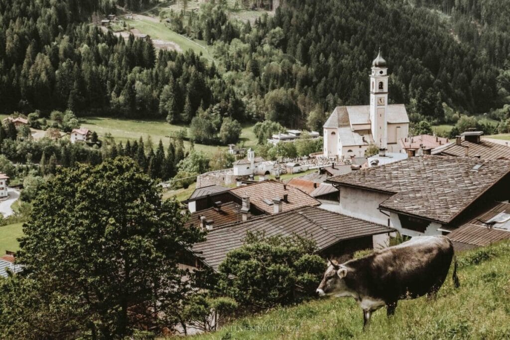 A cow is grazing on a hillside near a village, considered one of the best places to visit in Italy.