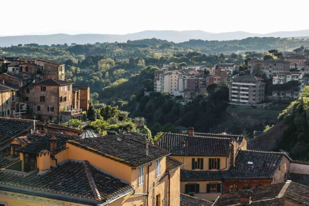 A city with many buildings, trees, and some of the best places to visit in Italy.