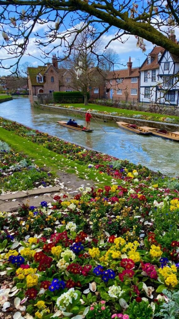 Punting on a tranquil river beside a vibrant flowerbed and traditional architecture during Canterbury boat trips.