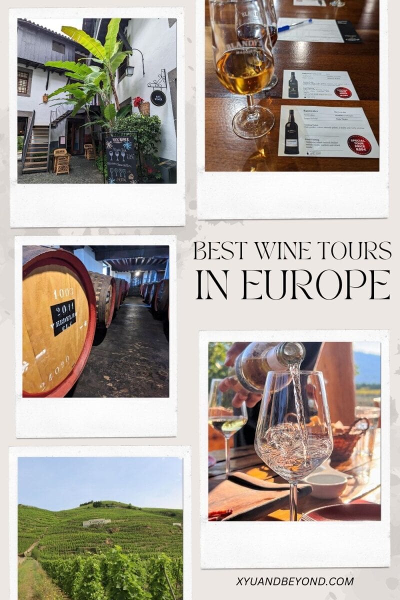 Collage of European wine tours featuring a vineyard, barrels in a cellar, wine tasting setup with glasses, and a scenic outdoor cafe. Text overlay reads "Explore the best wine tours in Europe.