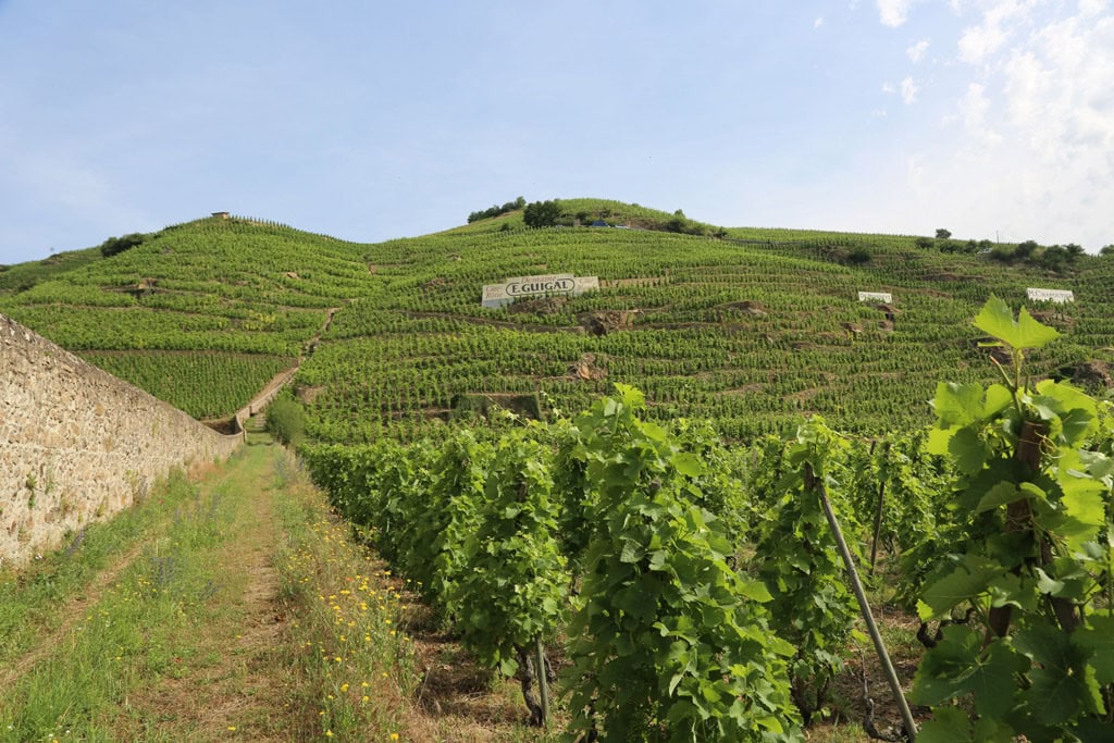 Wine tours in Europe the best wine tasting tours