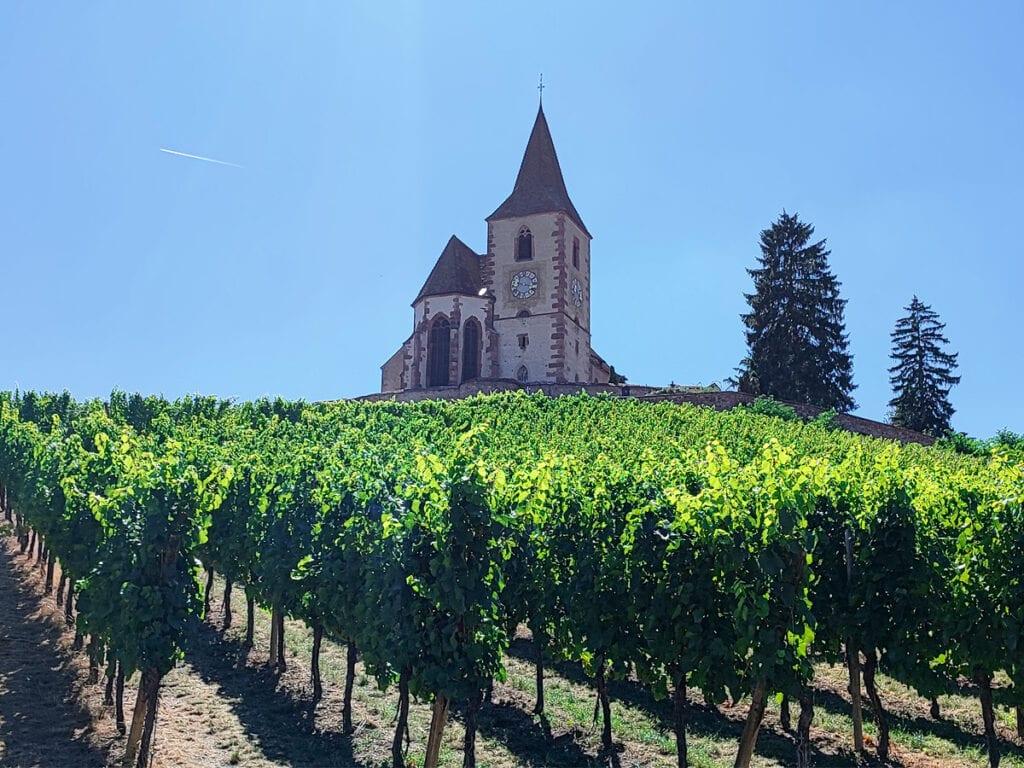 Wine tours in Europe the best wine tasting tours