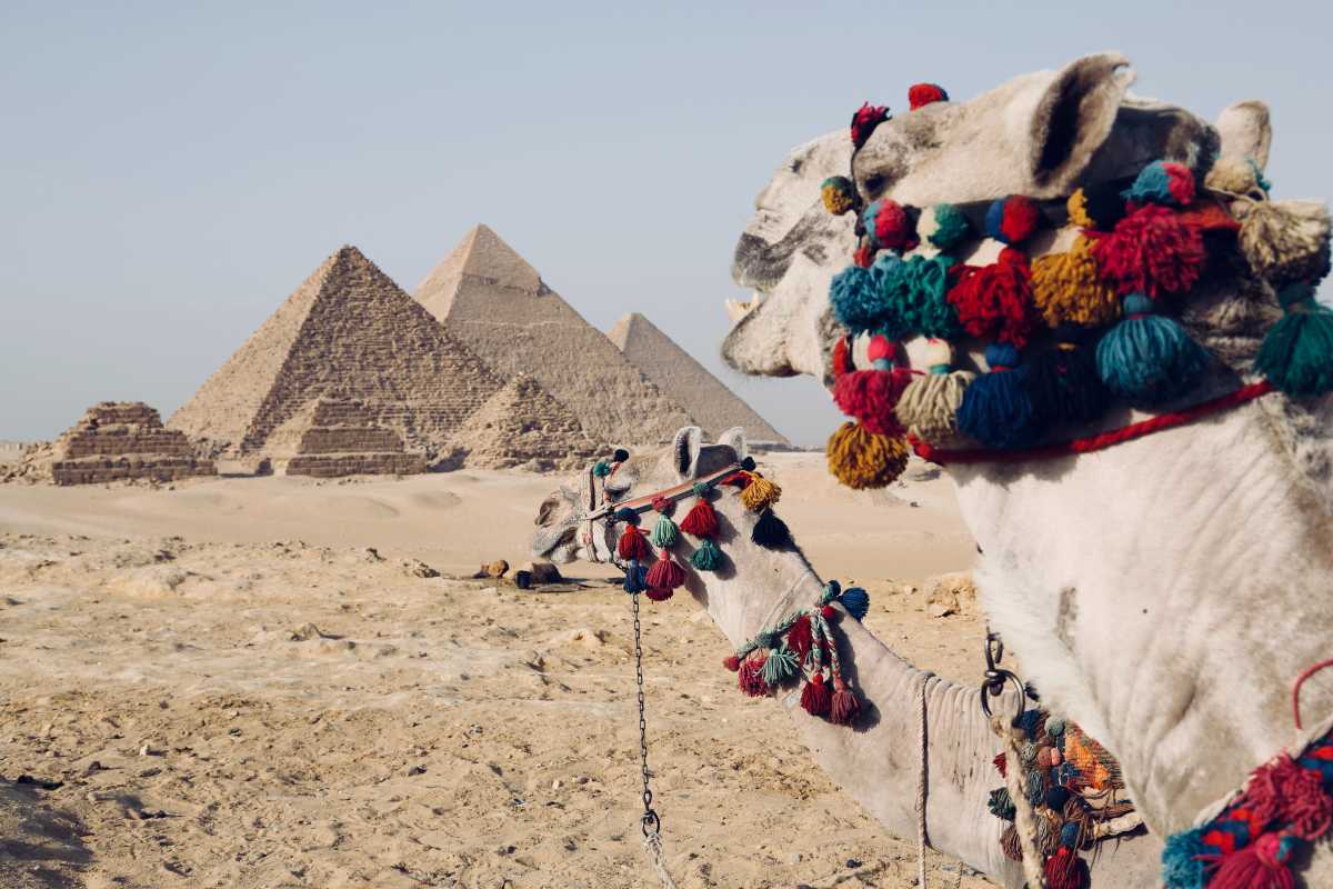 A camel adorned with colorful tassels stands in a desert landscape with large stone pyramids in the background.