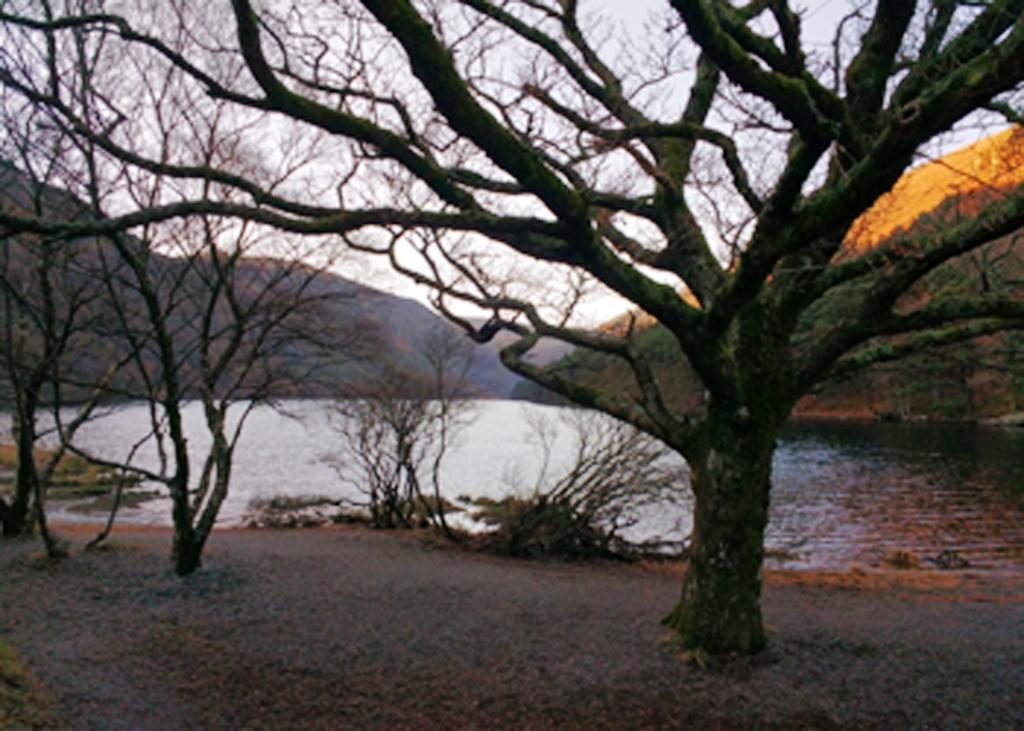 Lower lake at Glendalough in winter a view of the lake with golden hills and a few bare trees in front of the lake