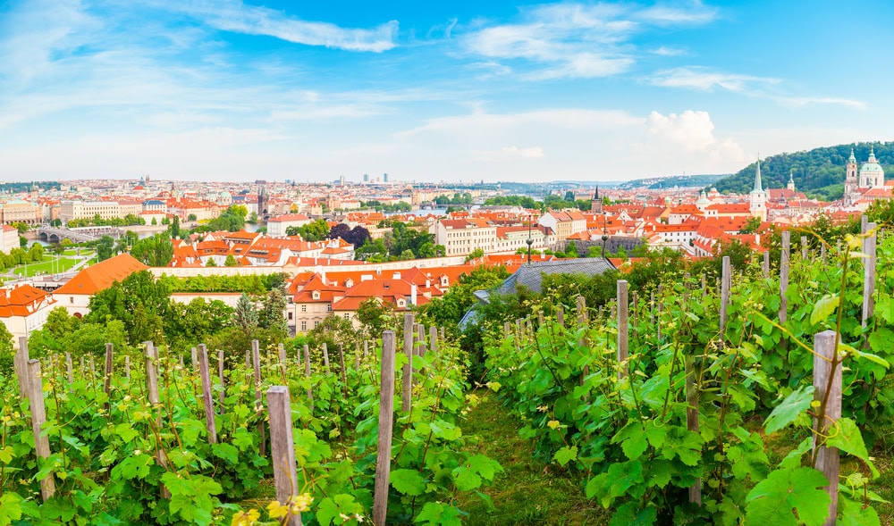 Visit Prague and insiders guide Panorama of the old part of Prague from the Prague Castle with vineyards in the foreground. Old Town architecture, Czech Republic.