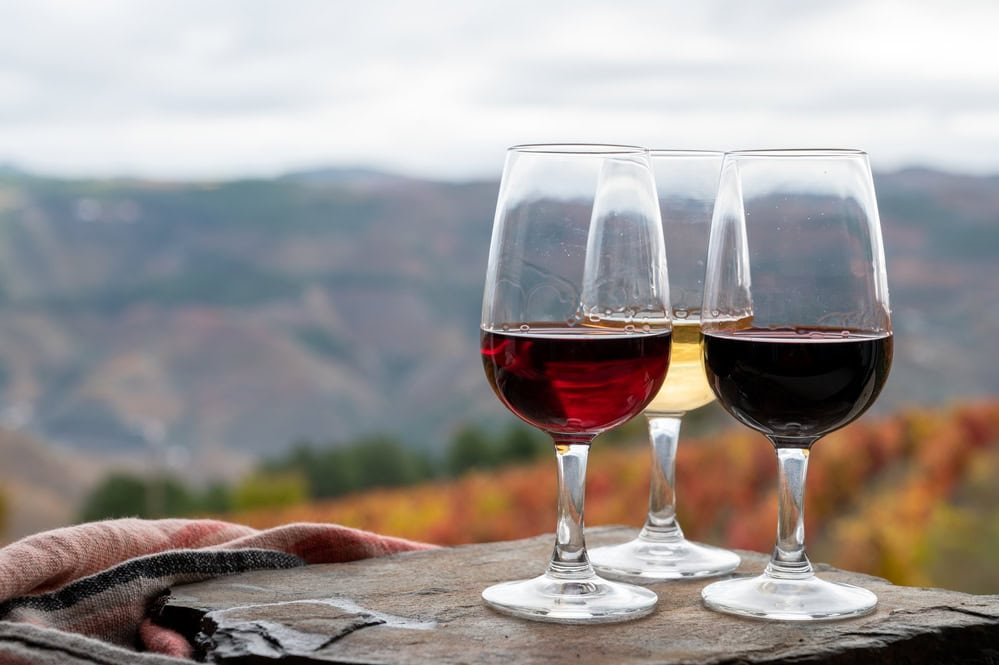 Tasting of Portuguese fortified dessert and dry port wine, produced in Douro Valley with colorful terraced vineyards on background in autumn, Portugal