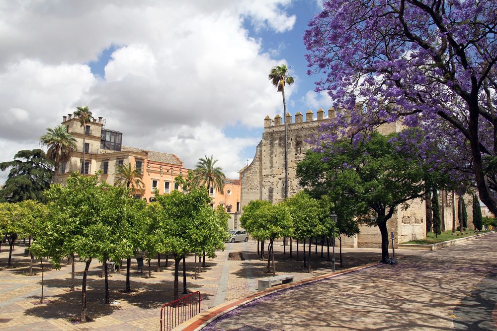 A stone building with battlements stands near a plaza filled with small trees and a large tree with purple blossoms.