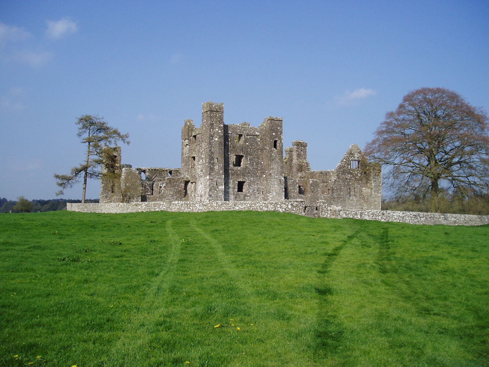 Bective abbey bright blue sky and green grass surround the ruined abbey
