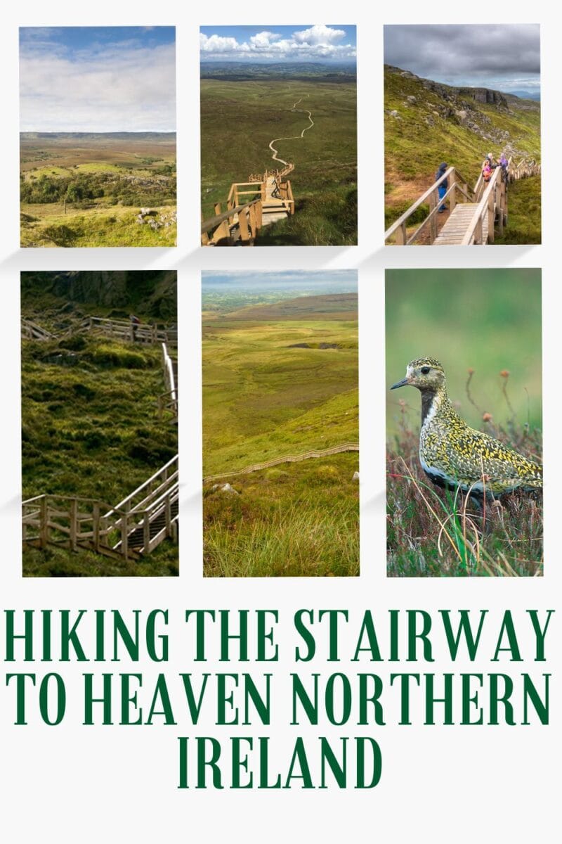 Ultimate Guide to Hiking the Stairway to Heaven Ireland
