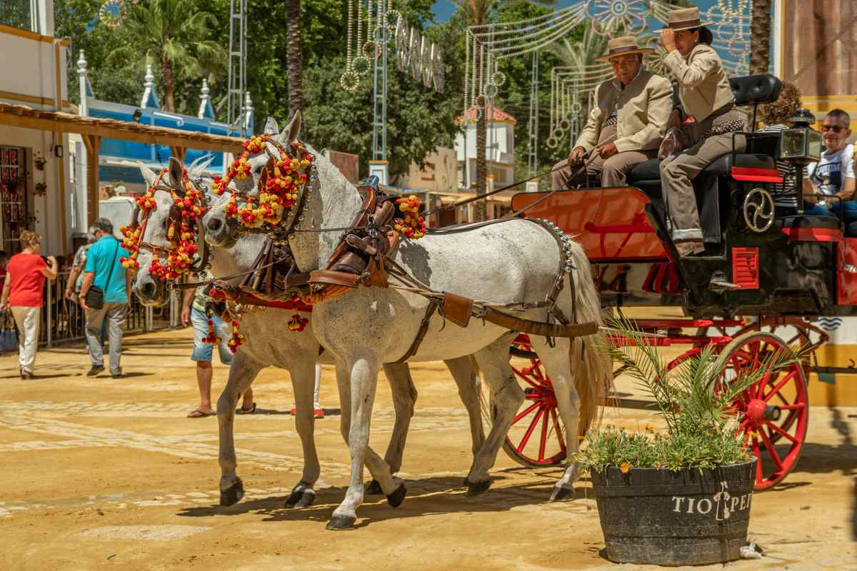 Two white horses with colorful floral harnesses pull a carriage driven by two people in hats on a dirt path.