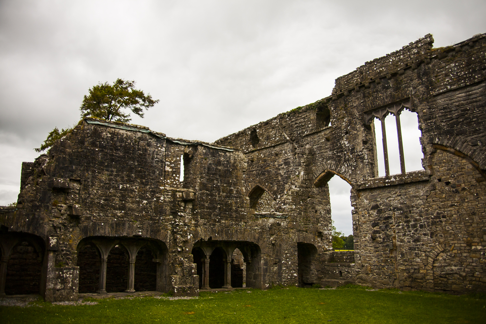 Spring in Bective Abbey (Mainistir Bheigti), Ireland.