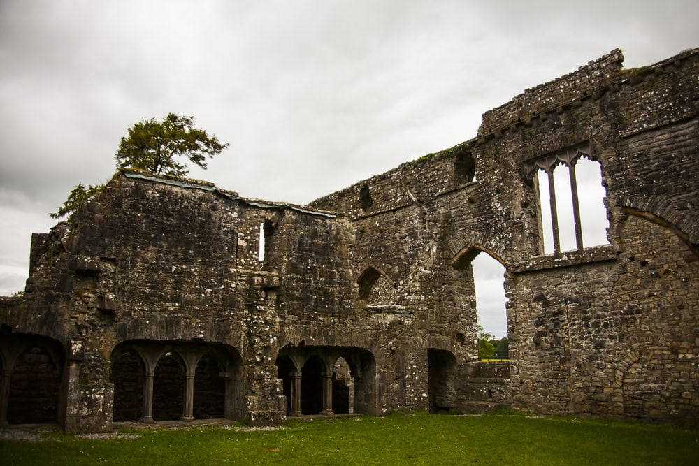 g in Bective Abbey (Mainistir Bheigti), Ireland.