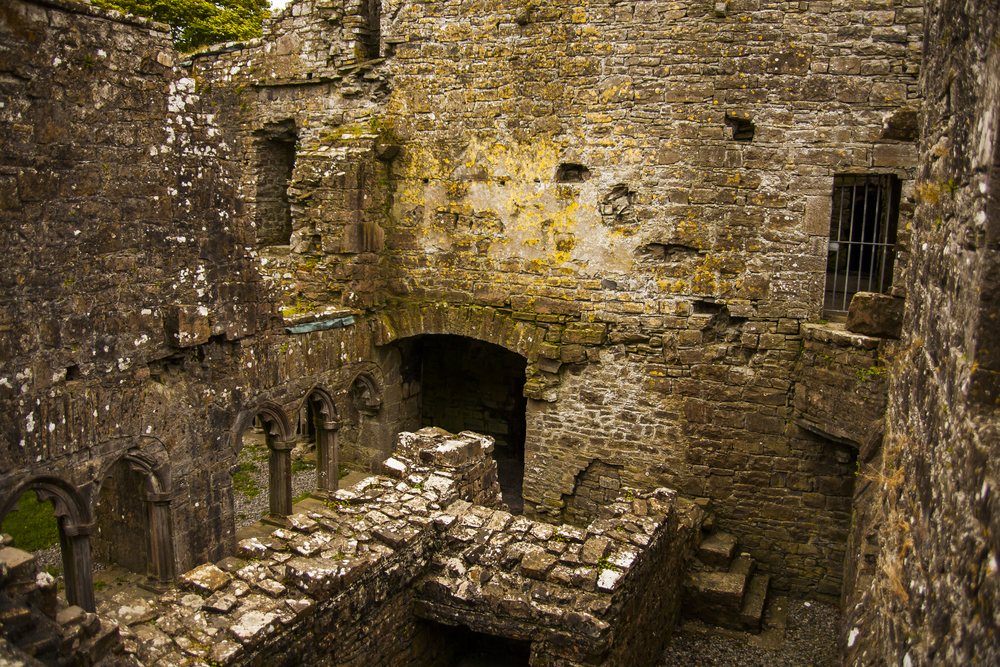Bective Abbey (Mainistir Bheigti), Ireland.