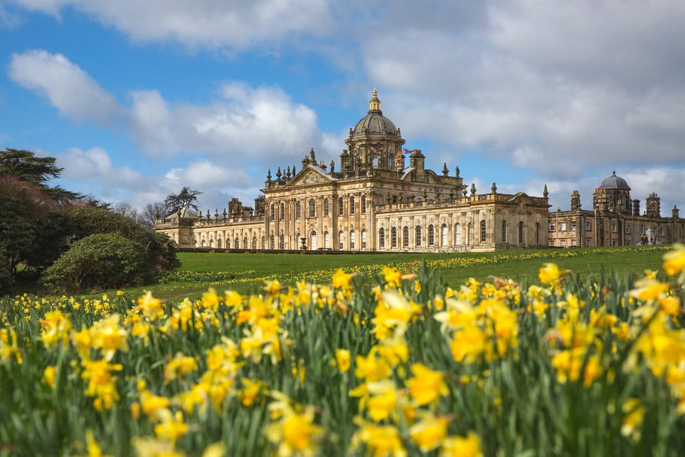 A landscape panorama of Castle Howard Stately Home in the Howardian Hills with a flowerbed of daffodils in Springtime on a sunny day