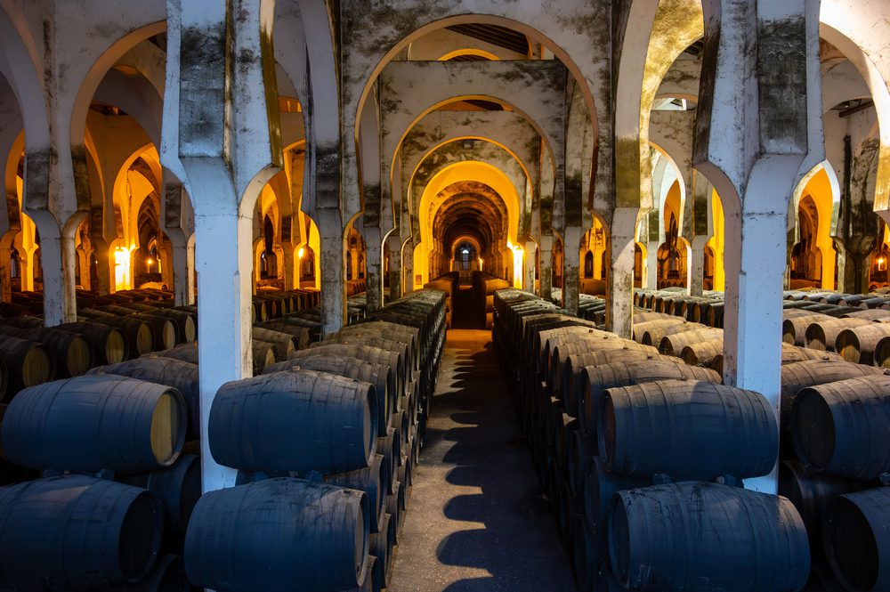 Rows of wooden barrels are stored in a cellar beneath a series of white, arched stone columns illuminated by warm light.