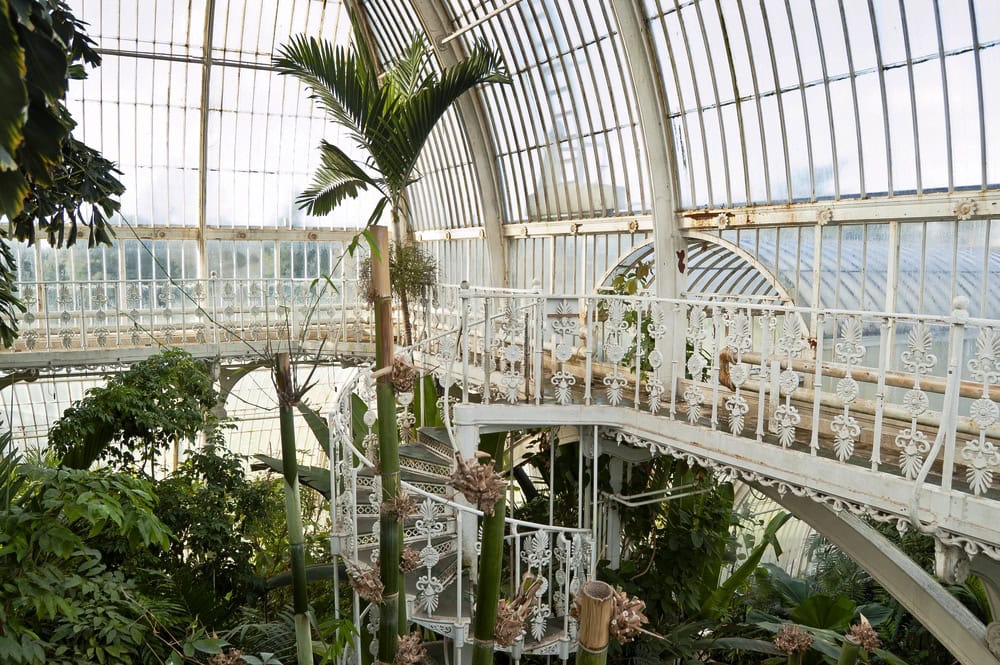 Palm House, Kew Gardens, London