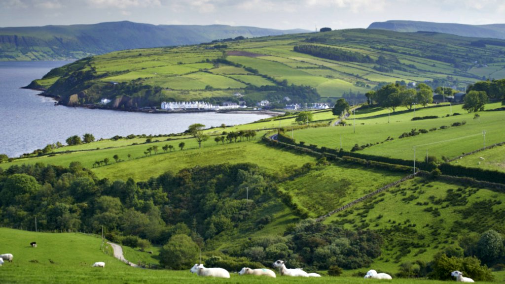 Lush green hills, white houses along the bay in Cushendall, Northern Ireland, with grazing sheep.