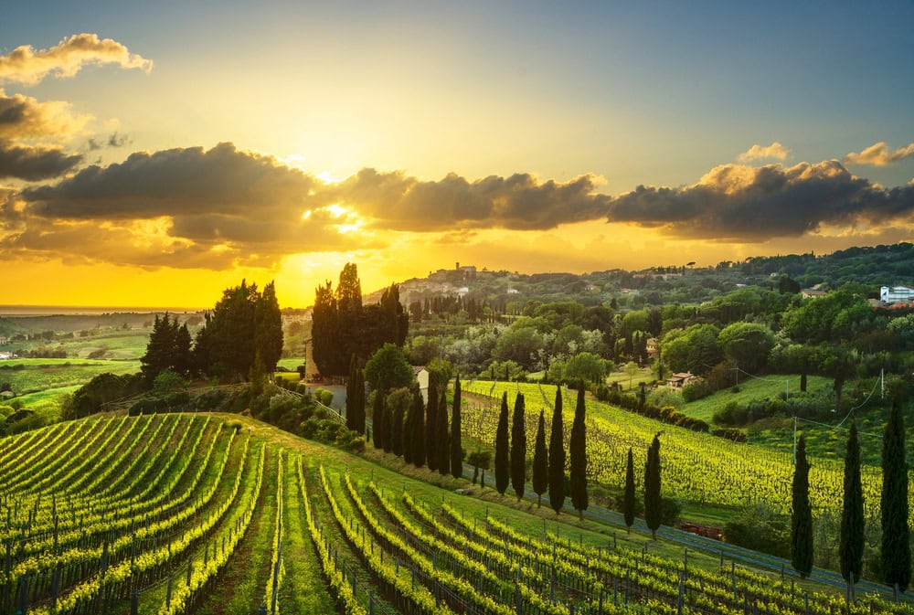 Casale Marittimo village, vineyards and landscape in Maremma. Tuscany, Italy.