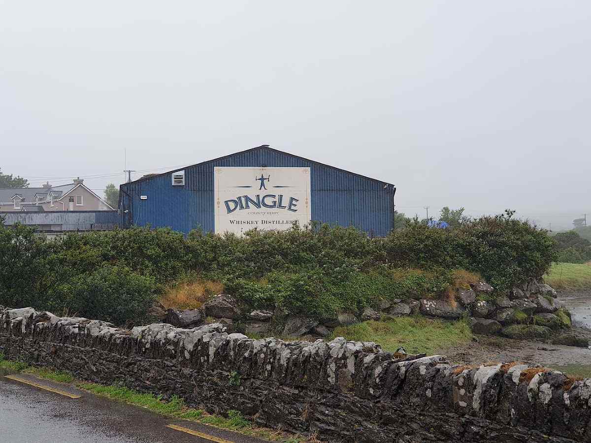 A blue industrial building with a sign reading Dingle Whiskey Distillery stands behind a stone wall and green bushes.