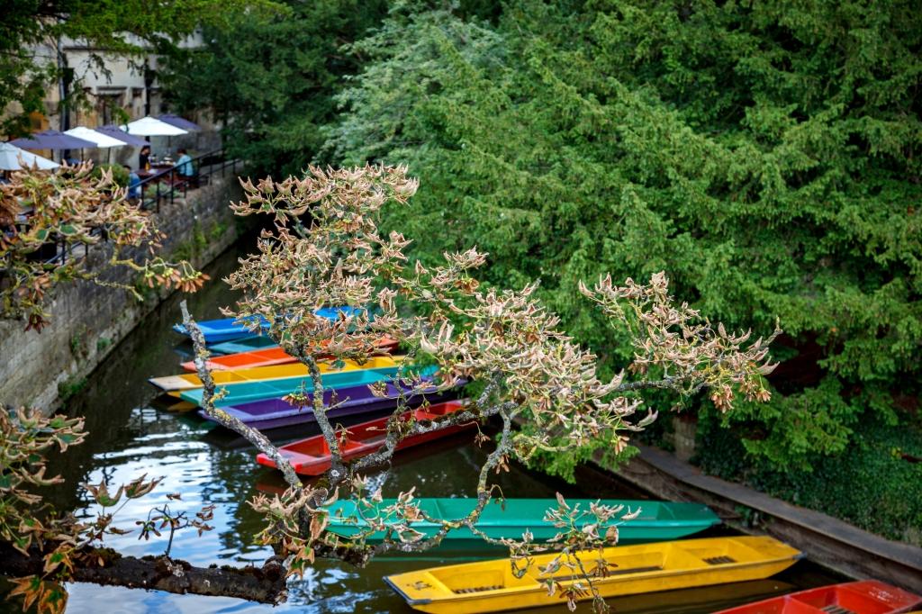 Colourful Punts Oxford England on the River Cherwell. The punts are tied up to the treed banks of the river