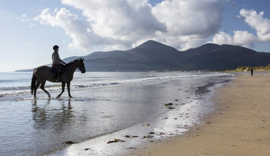 Things to do in County Down