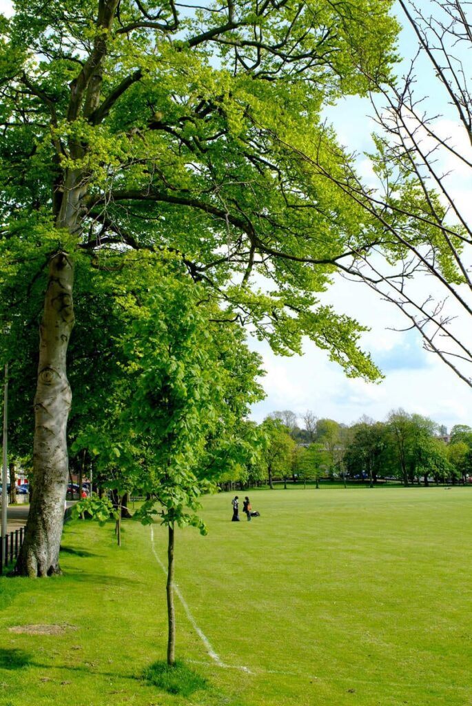 Things to do in County Armagh
