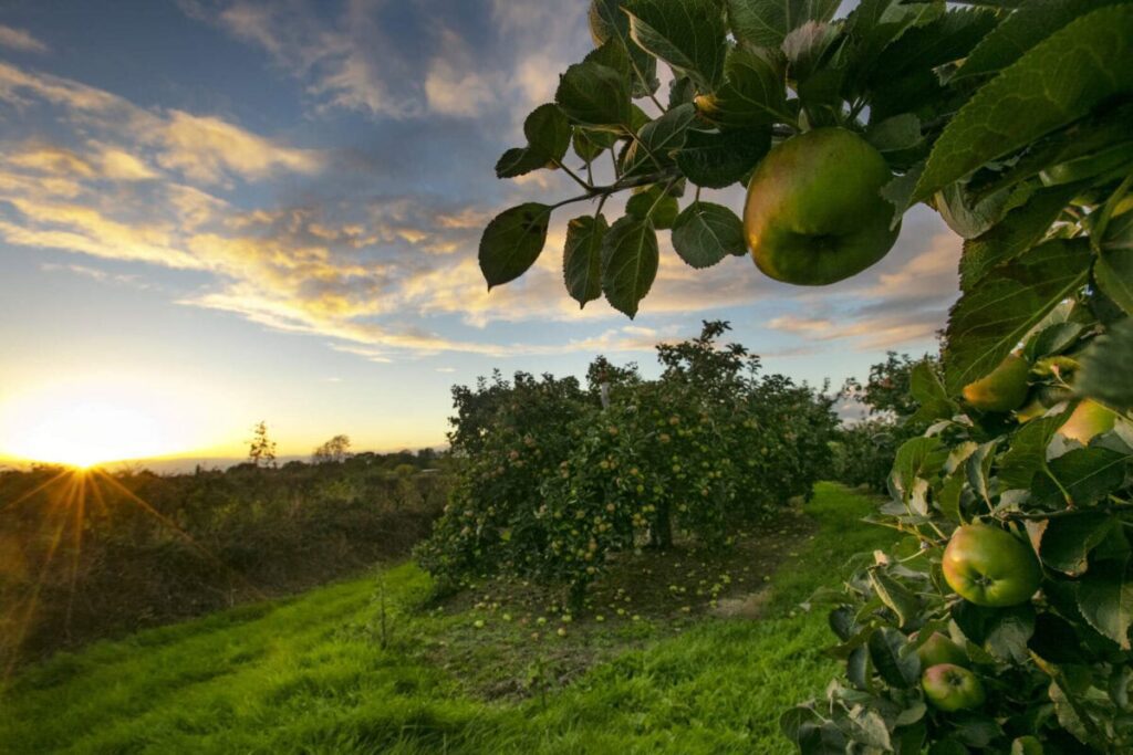 Things to do in County Armagh