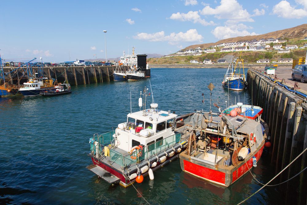 Fishing Boats in the harbour of Mallaig in Scotland