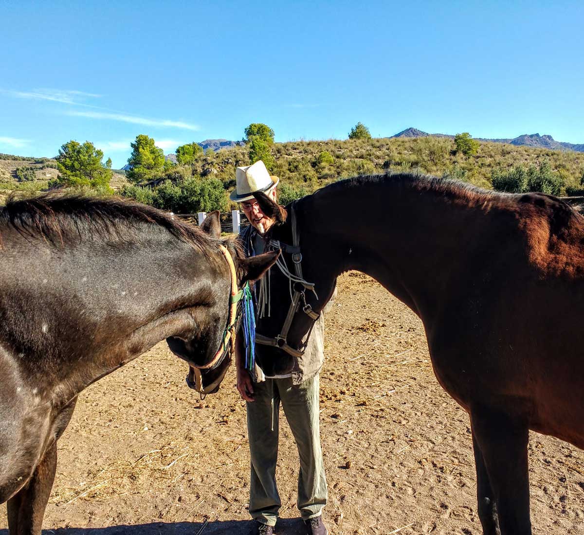 jubia and pinto the horses we looked after in spain