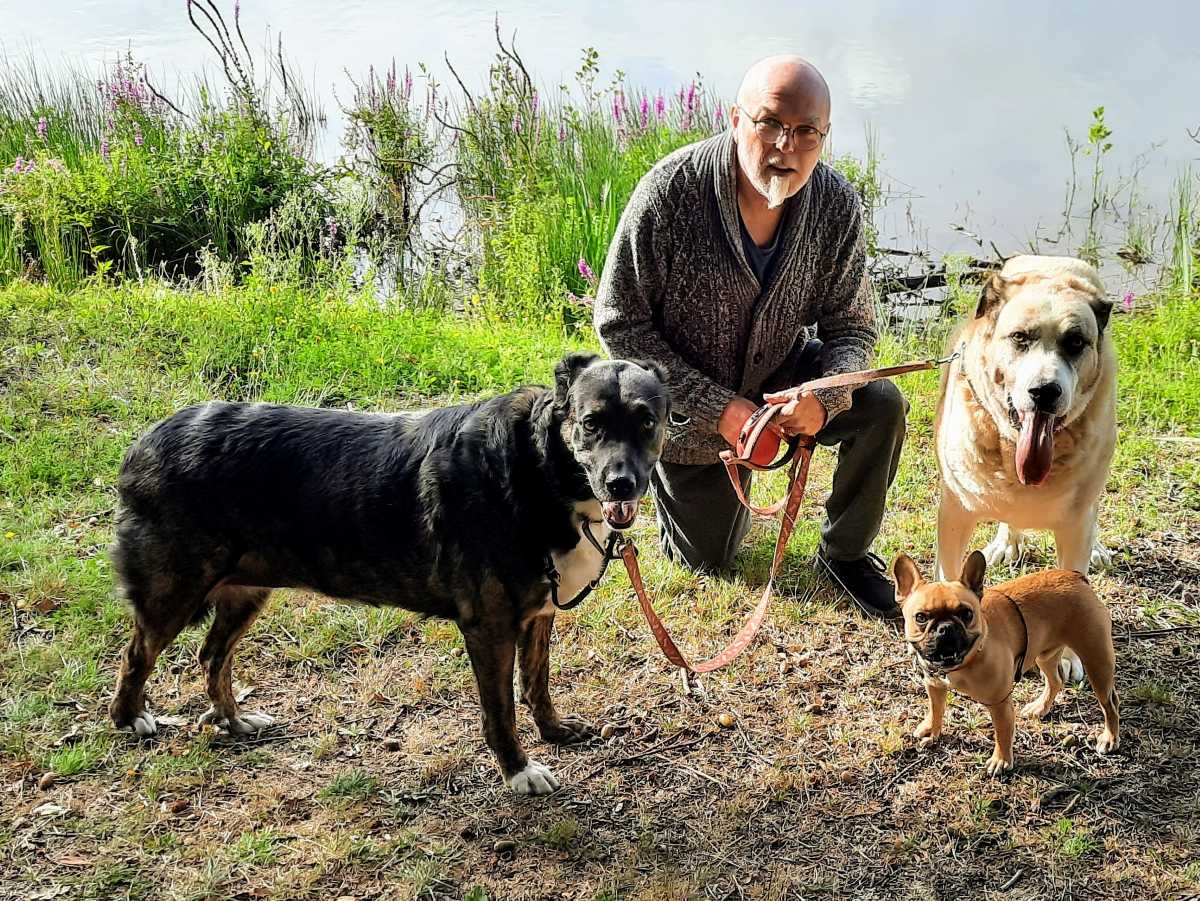 Alan walking the dogs in France, a large mastiff a Frenchie and a mixed breed