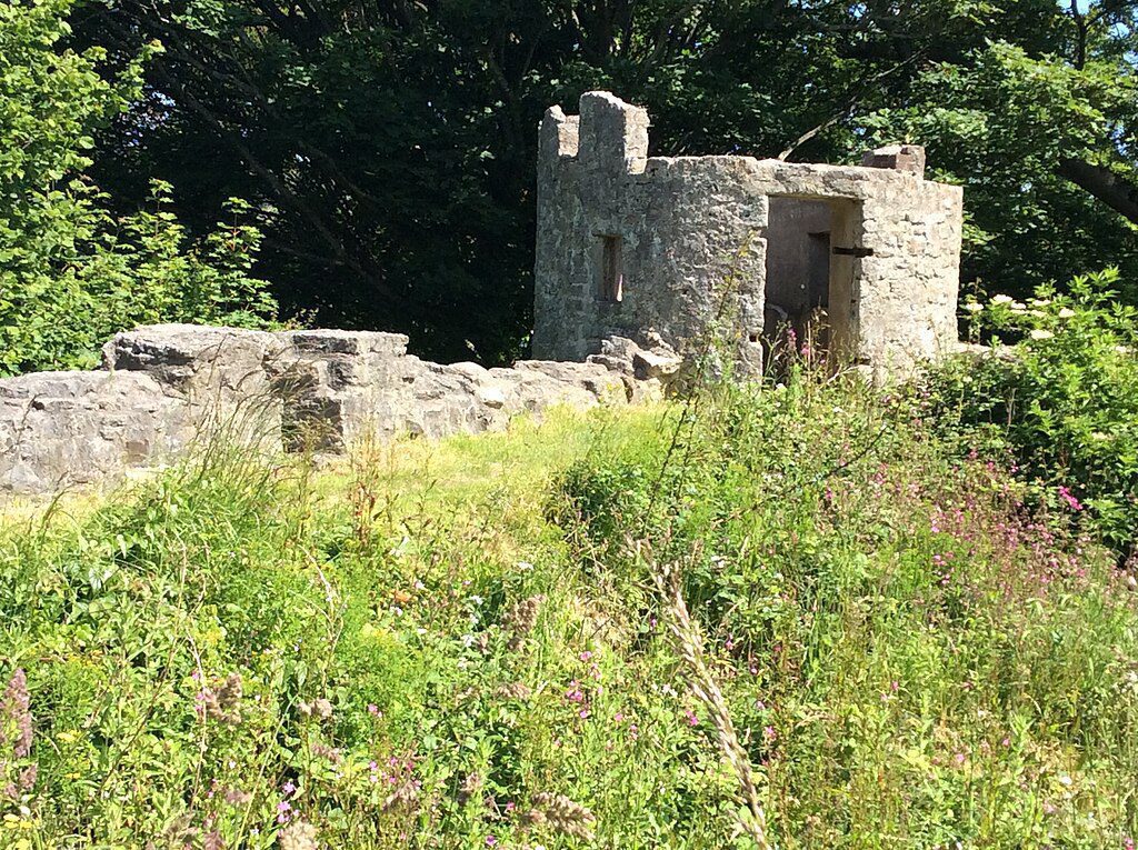 Aberlleiniog Castle all that remains in the middle of a wood is a small wall and a round tower base