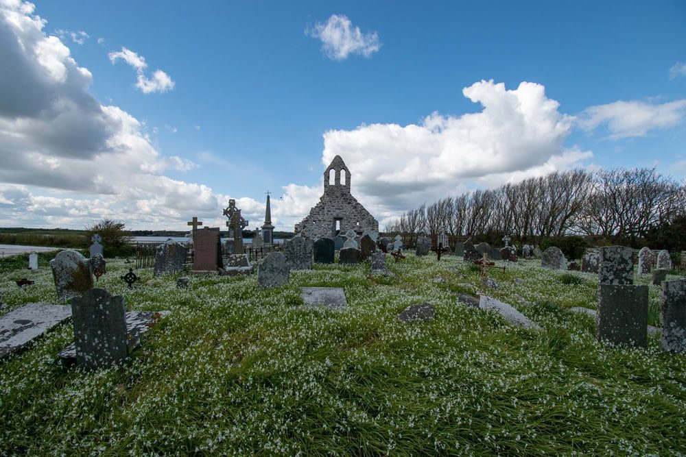 Our Lady's Island cemetary