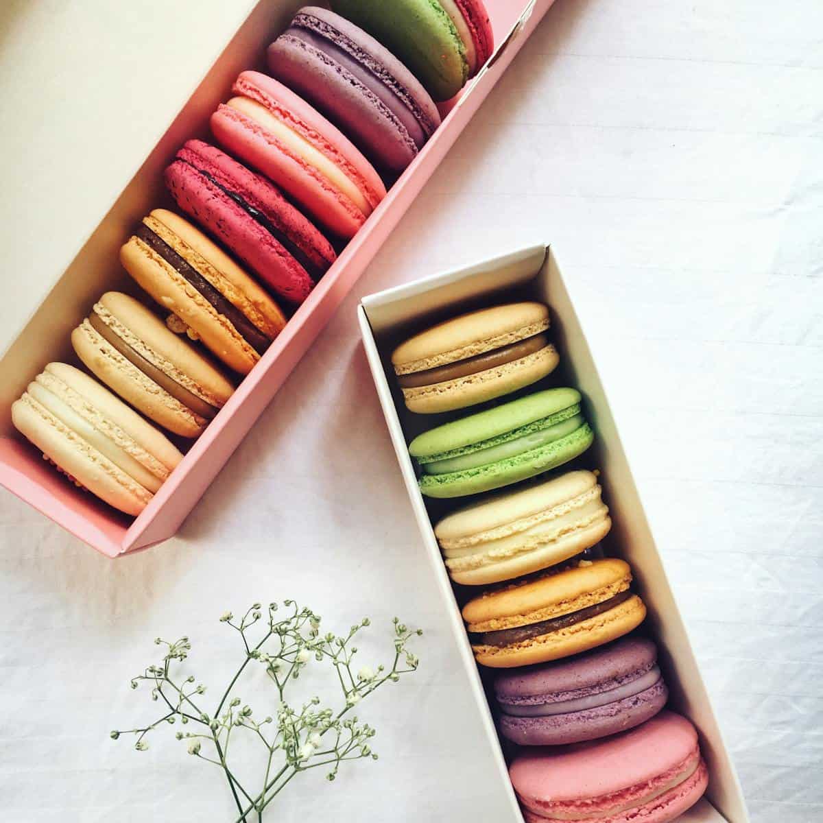 The history of Macarons An assortment of vibrant macarons arranged in boxes with a floral decoration, perfect for dessert lovers.