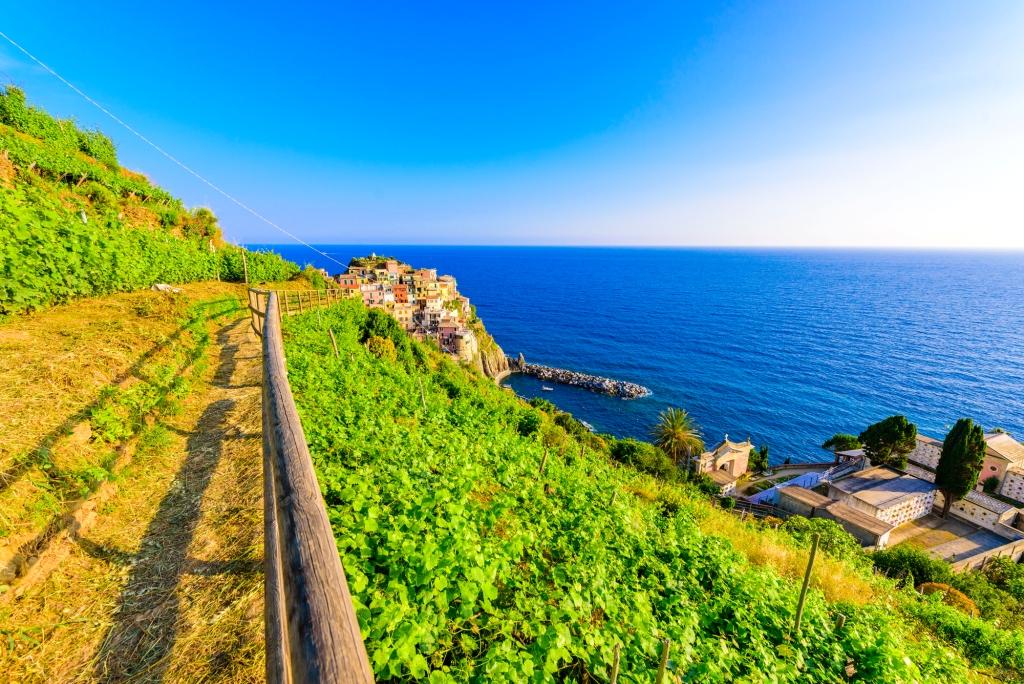 Manarola village in beautiful scenery of mountains and sea - Spectacular hiking trails in vineyard with flowers in Cinque Terre National Park, Liguria, Italy, Europe in the fall