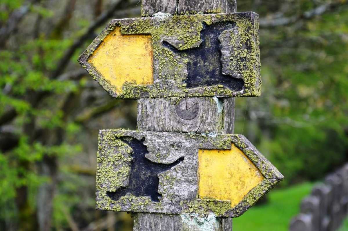 Moss-covered wooden signs along the Pendle Witches Trail in Lancashire with witches silhouettes conveying contradictory information