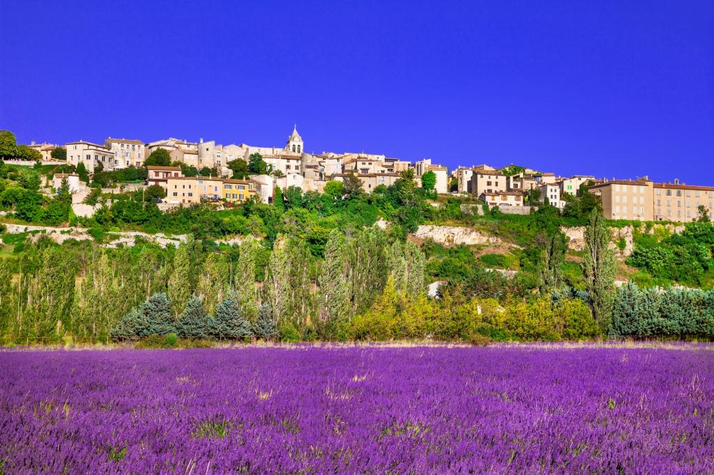 Sault town in Provence and blooming lavande fields