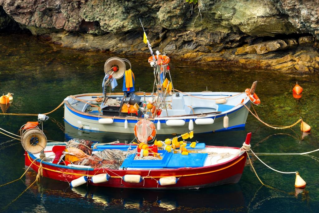 Fishing Boats in the Harbor - Liguria Italy
