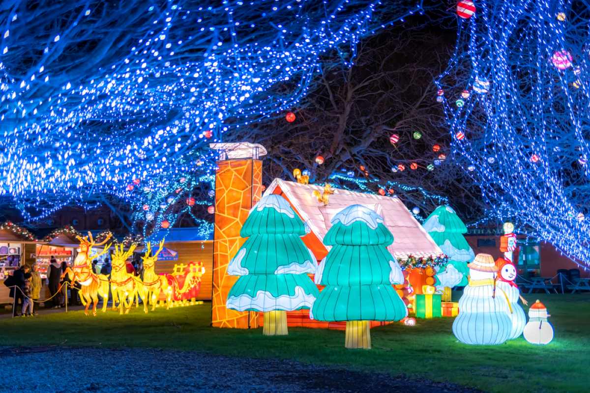 Wild lights at Dublin zoo